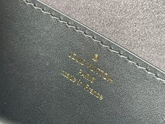 LV Tilsitt Monogram Bag