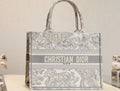 Dior Book Tote Shopping Bag