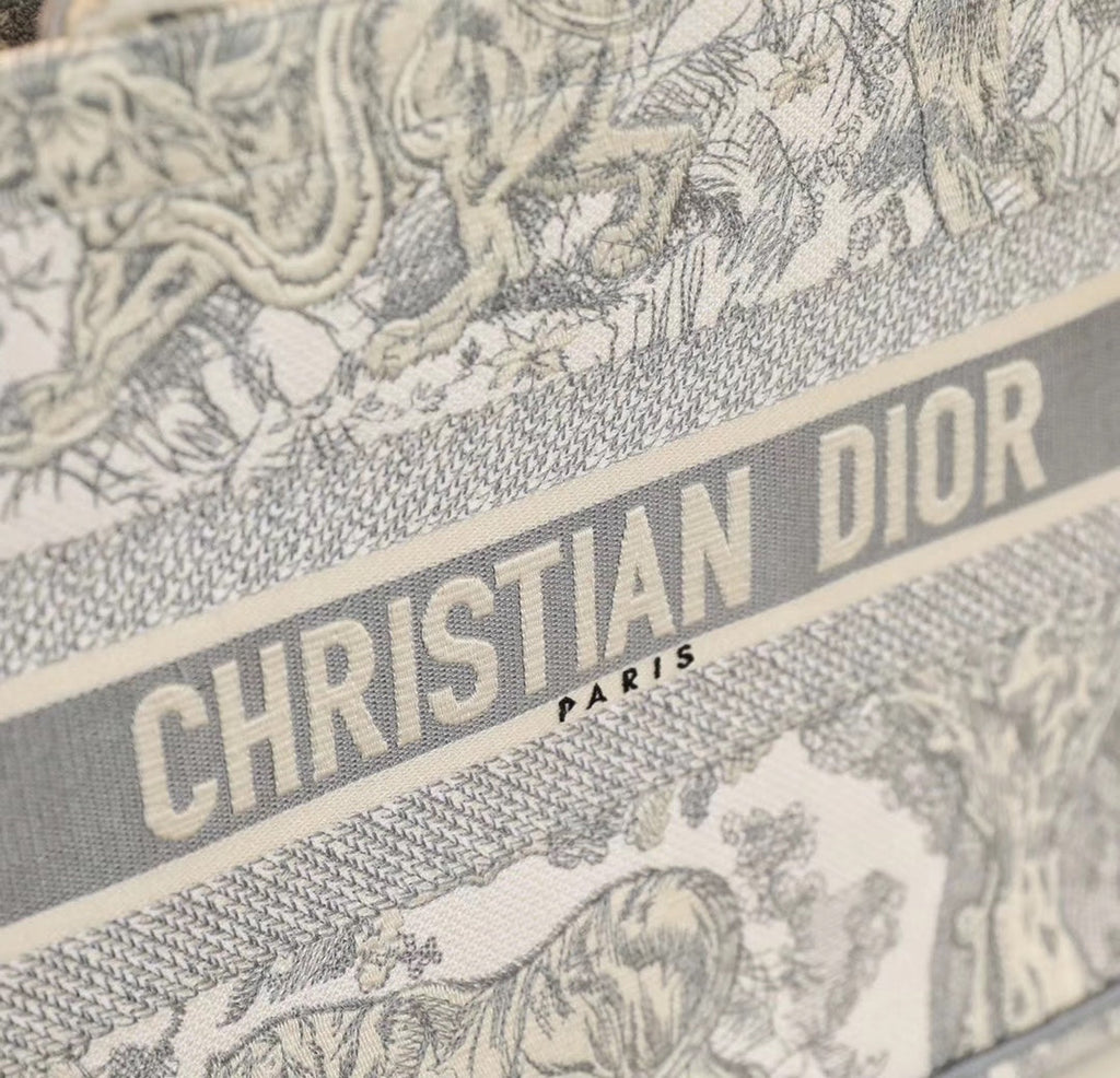 Dior Book Tote Shopping Bag