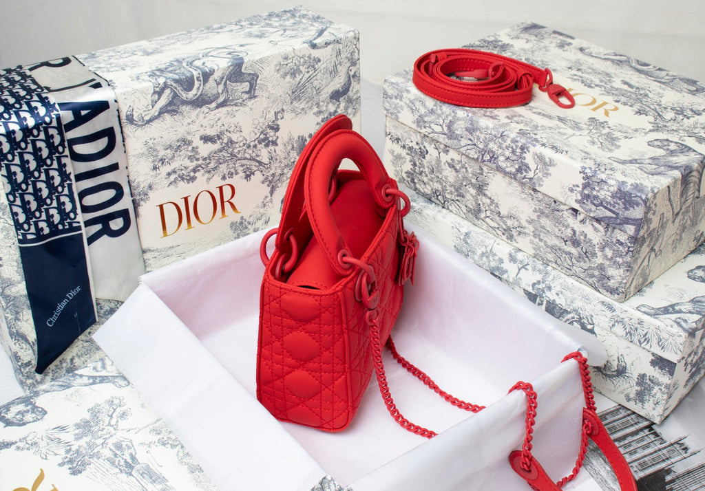 Mini Lady Dior Bag