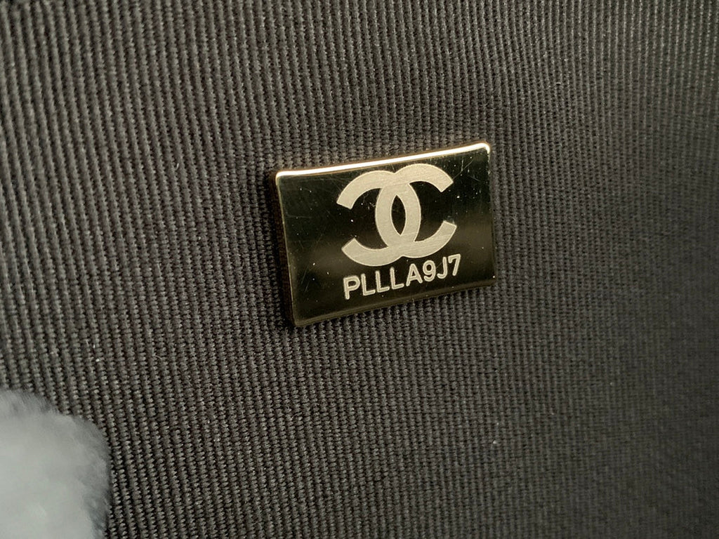 Chanel Popular Camera Bag