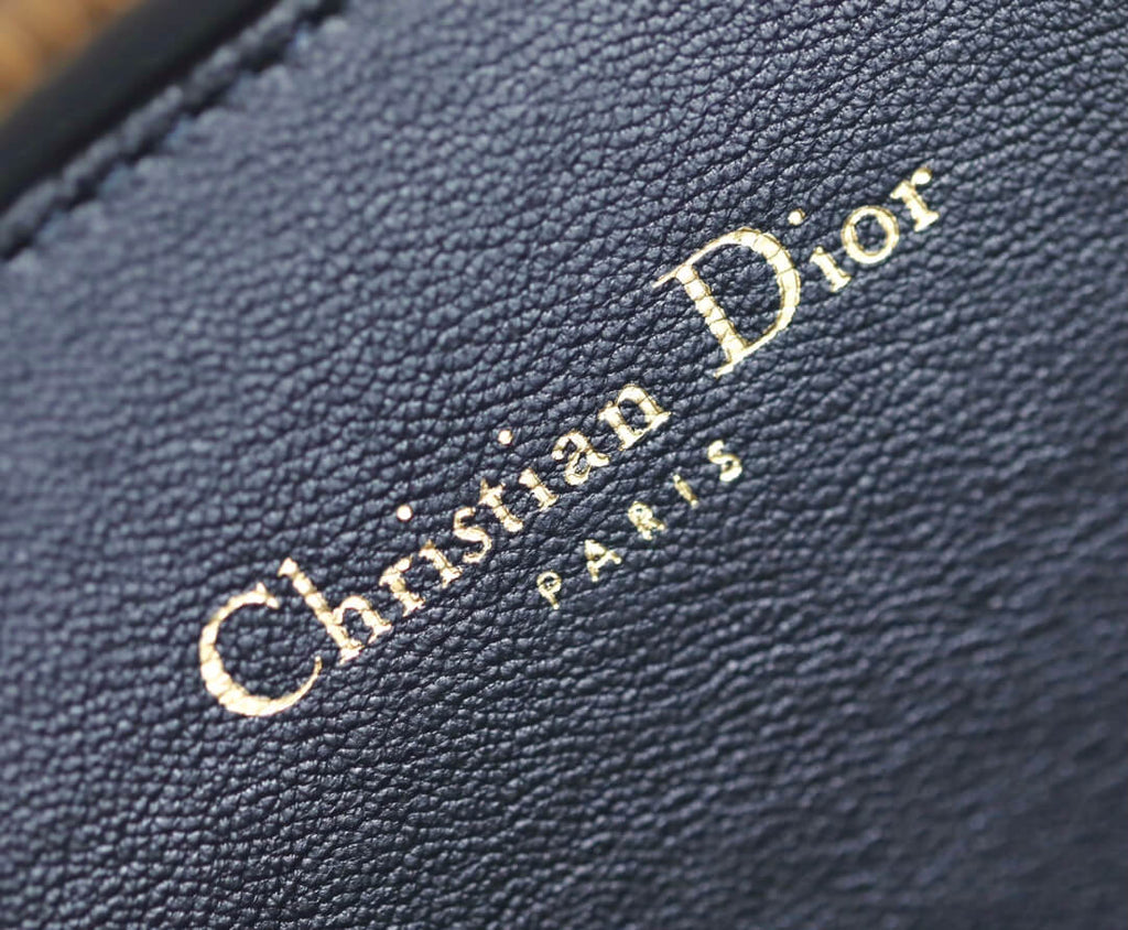 Dior CD Signature Elliptical Camera Bag