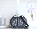 Dior CD Signature Elliptical Camera Bag