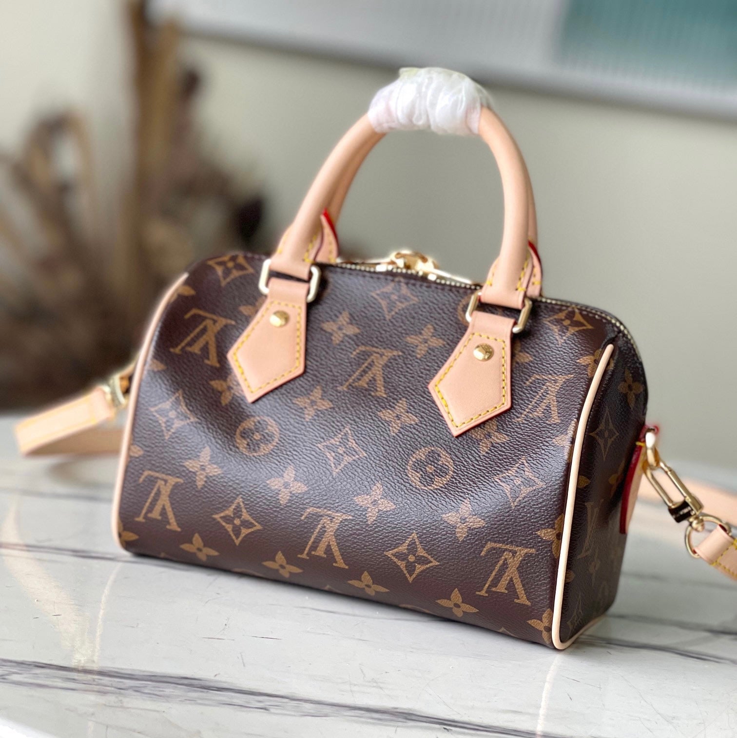 LV Speedy 20 Bag