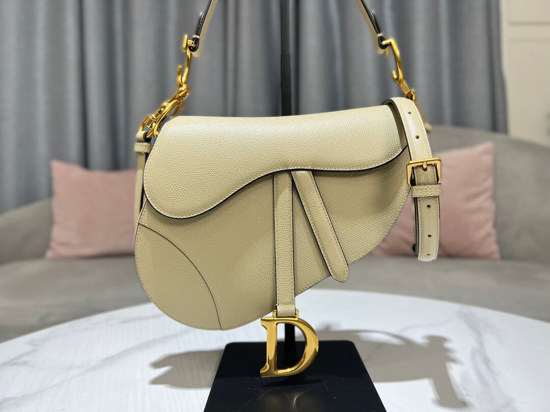 Dior Saddle Bag